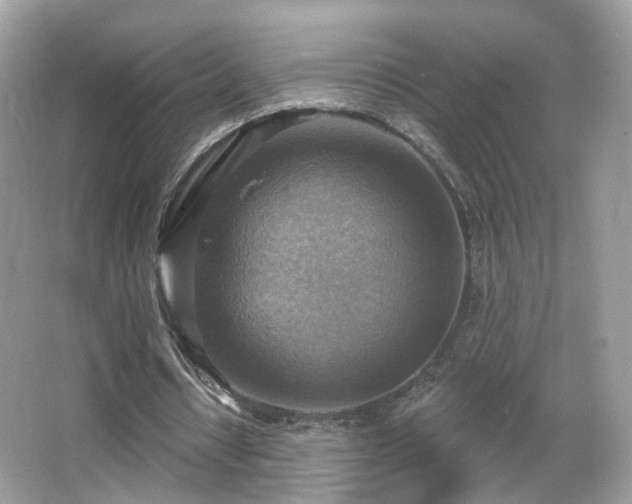 X0000066950434200603271211
