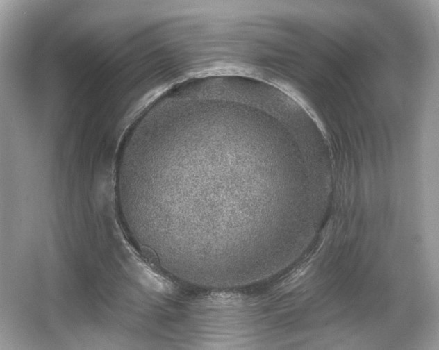 X0000066950437200603271211