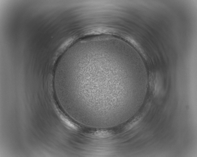 X0000066950445200603271211