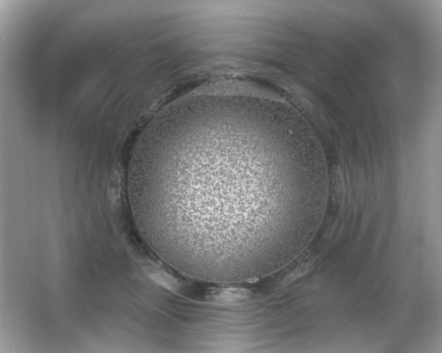 X0000066950463200603271211