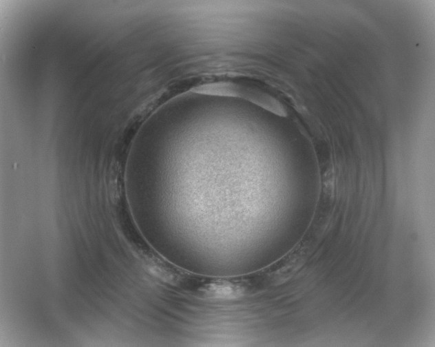 X0000066950464200603271211