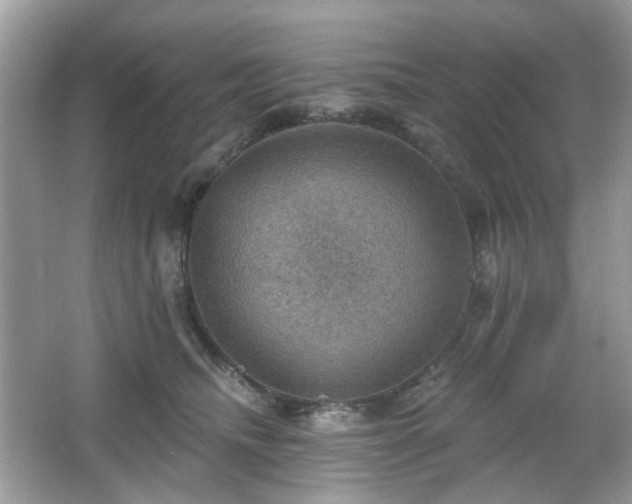 X0000066950468200603271211