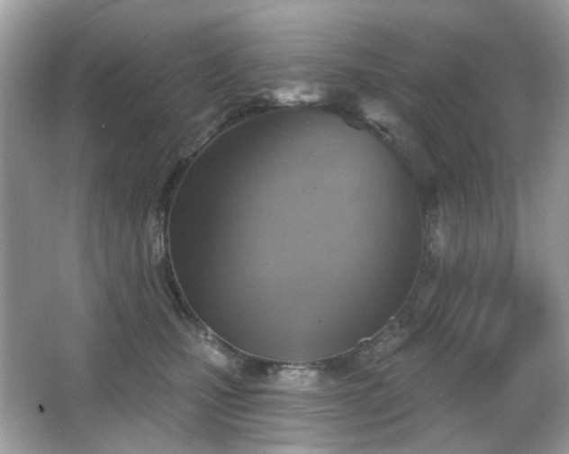 X0000066950471200603271211