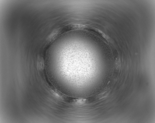 X0000066950474200603271211