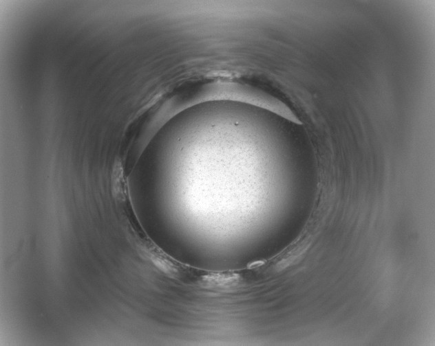 X0000066950480200603271211