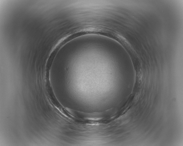 X0000066950484200603271211