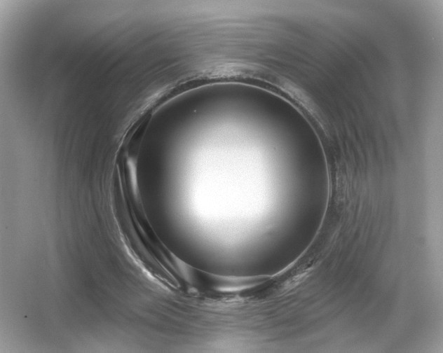 X0000066950485200603271211