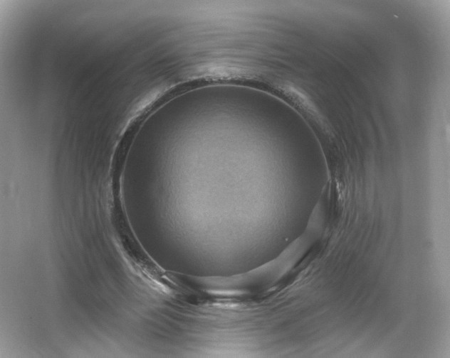 X0000066950488200603271211