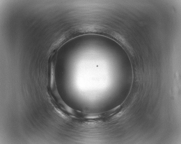 X0000066950489200603271211