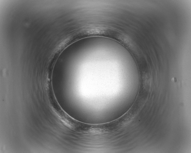 X0000066950490200603271211
