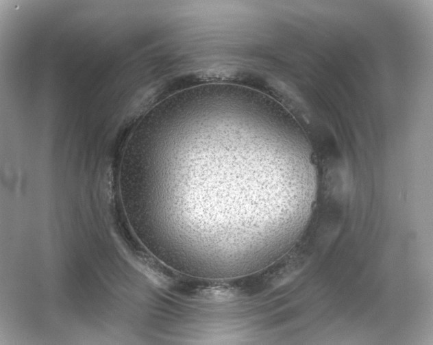 X0000066950498200603271210