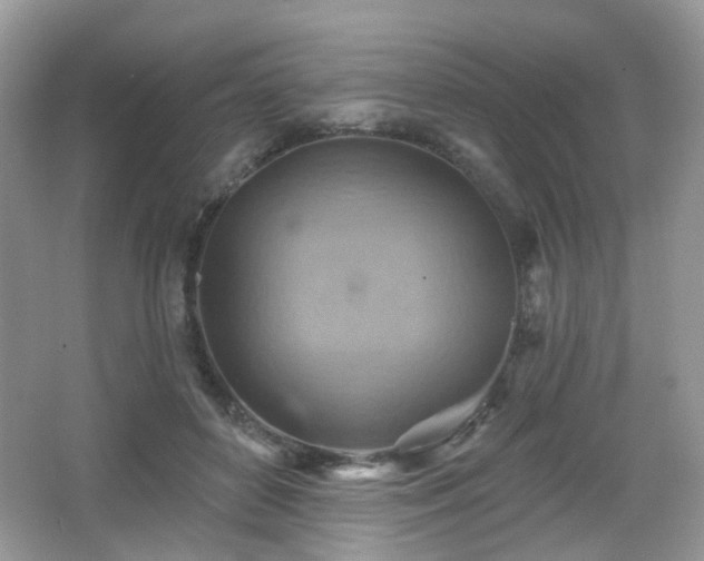 X0000066950504200603271210