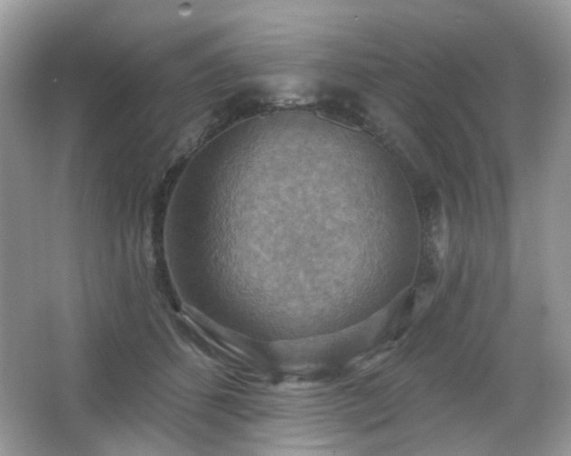 X0000066950512200603271210
