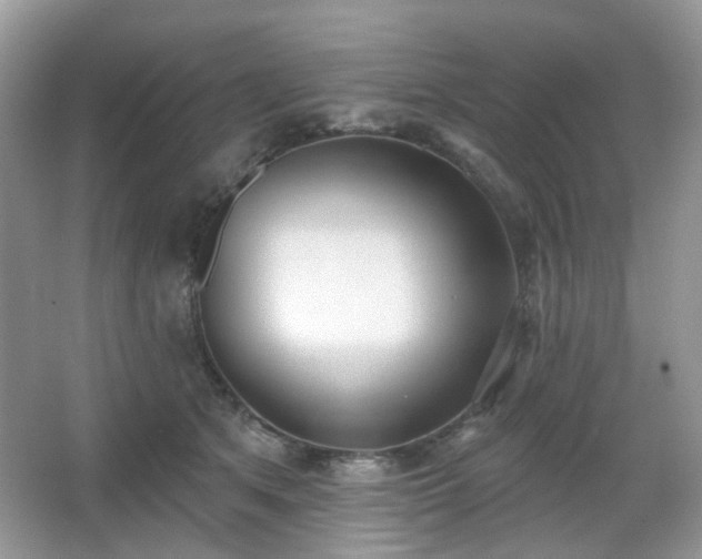 X0000066950513200603271210