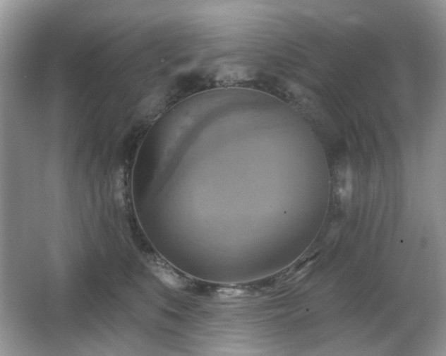 X0000066950519200603271210