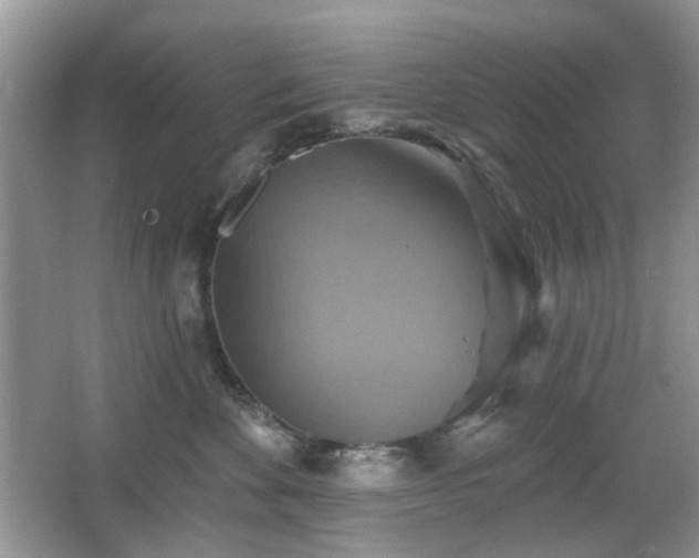 X0000066950524200603271210