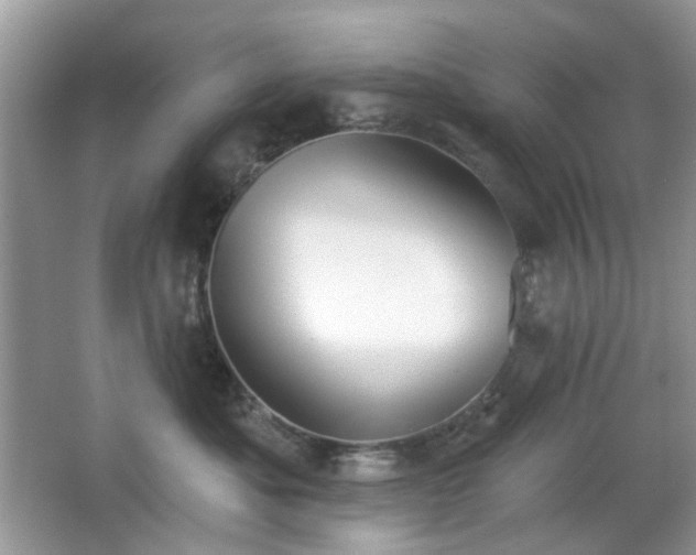 X0000066950525200603271210