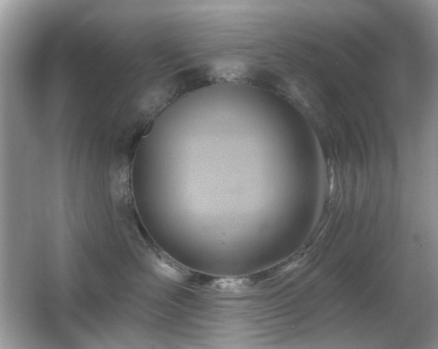 X0000066950526200603271210