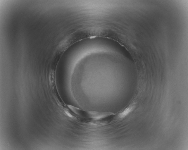 X0000066950528200603271210