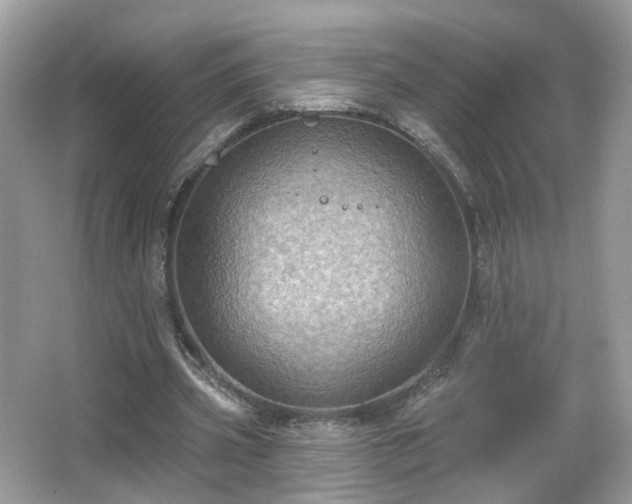 X0000066950533200603271209