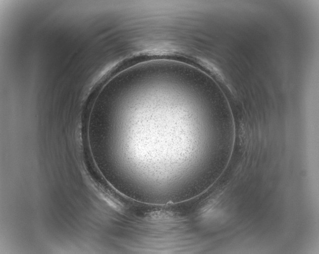 X0000066950535200603271209