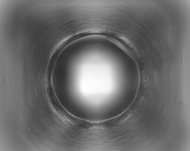 X0000066950536200603271209