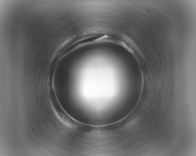 X0000066950538200603271209