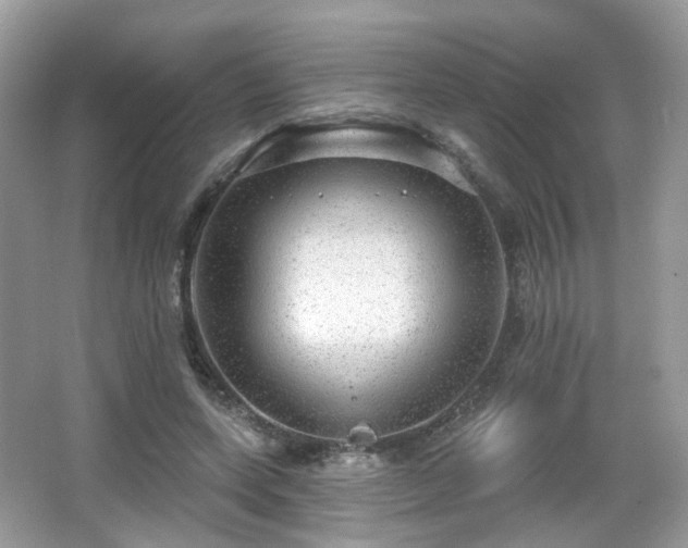 X0000066950543200603271209