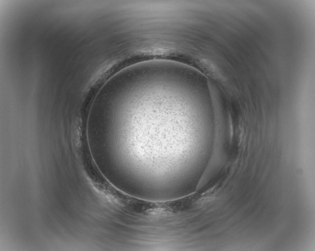X0000066950544200603271209