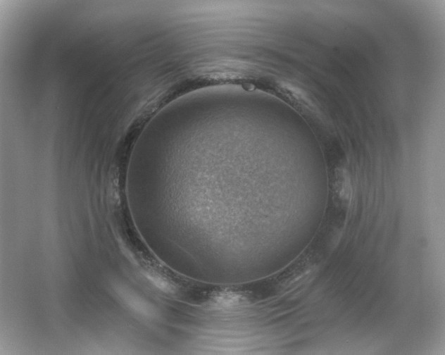 X0000066950547200603271209