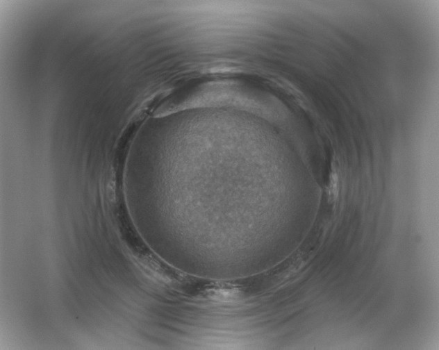 X0000066950552200603271209