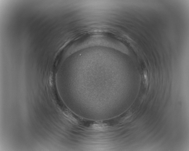 X0000066950556200603271210