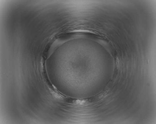 X0000066950570200603271210