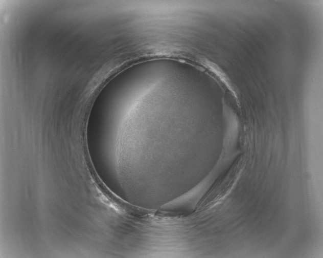 X0000066950577200603271209