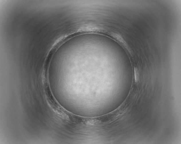 X0000066950579200603271209