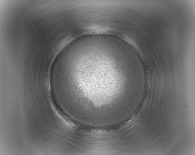 X0000066950582200603271209