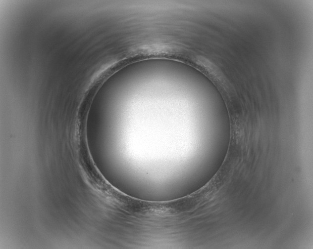 X0000066950583200603271209