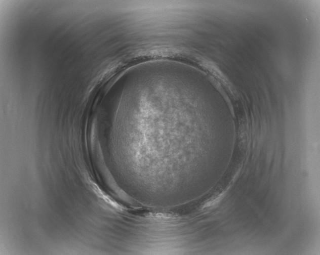 X0000066950585200603271209