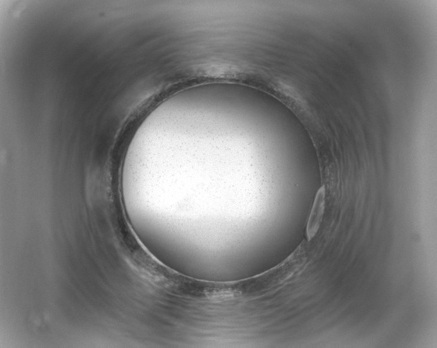 X0000066950587200603271209