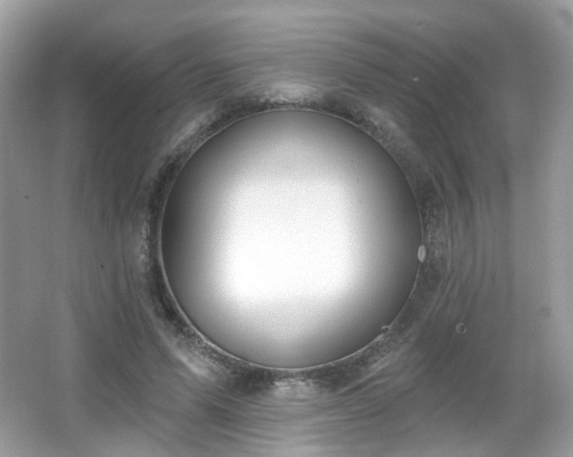 X0000066950591200603271209
