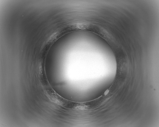 X0000066950595200603271209