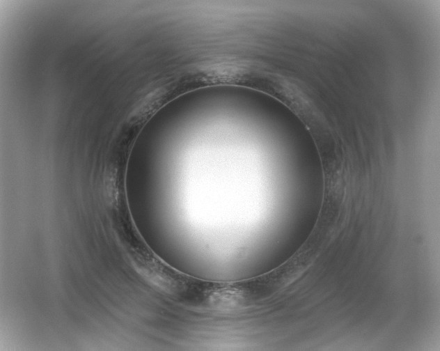 X0000066950599200603271209