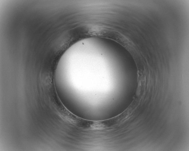 X0000066950603200603271209