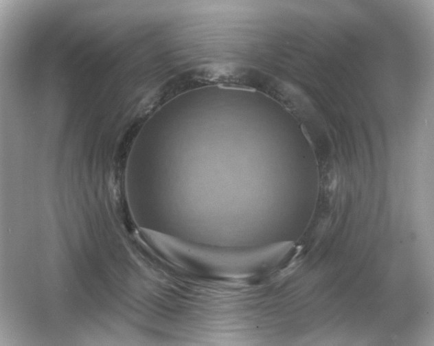 X0000066950607200603271209