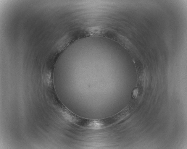 X0000066950610200603271208