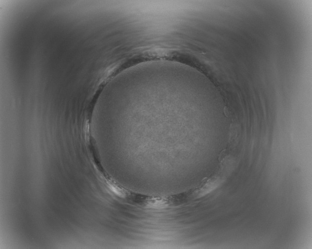 X0000066950624200603271208