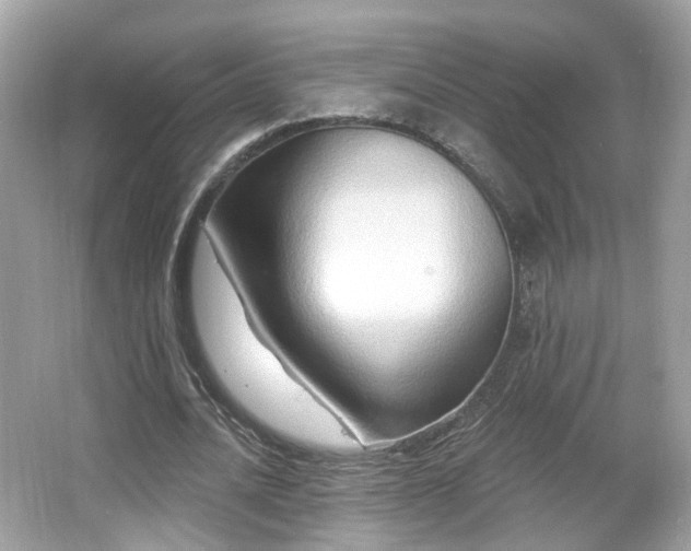X0000066950628200603271207