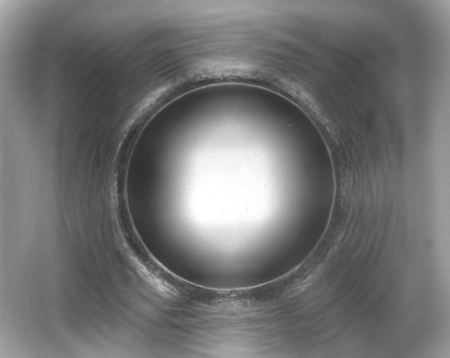 X0000066950629200603271208