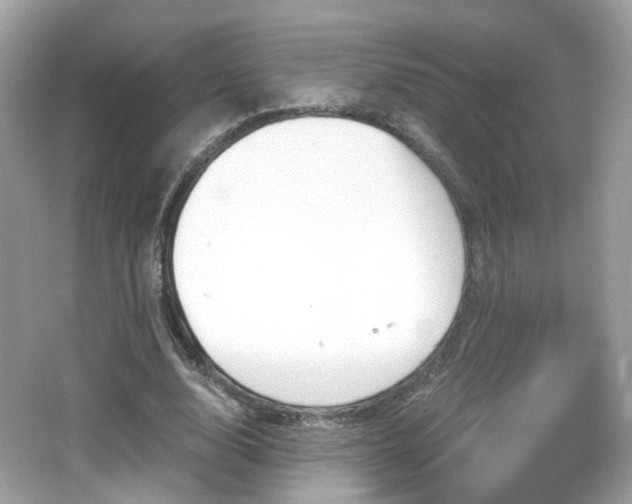 X0000066950632200603271208