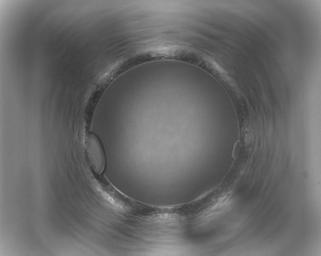 X0000066950637200603271208
